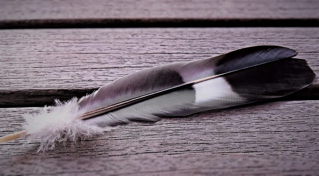 What is the Spiritual Significance of a White Feather?