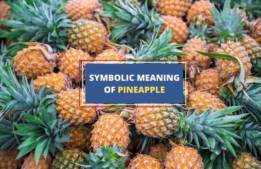 Spiritual Meaning of Pineapple Symbolism