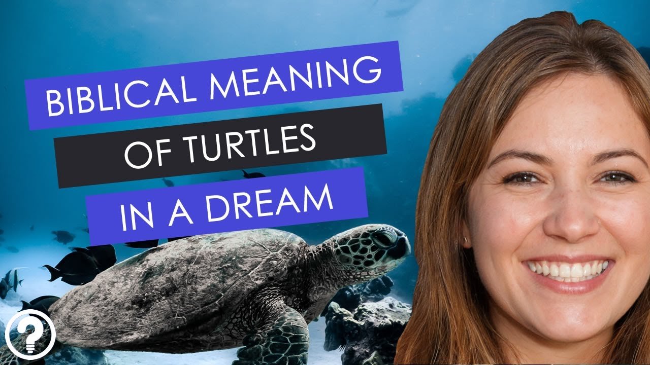 biblical meaning of turtles in dreams